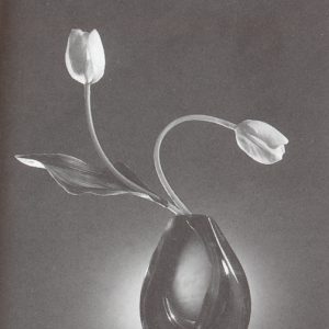 Scan-100424-0015_06